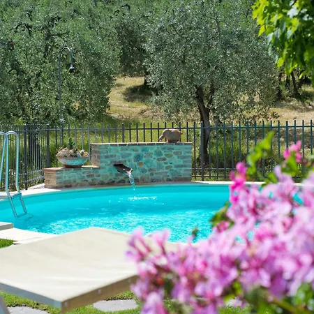 Lari-2 By Interhome * Luiano